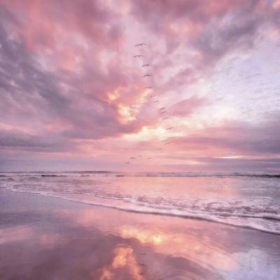 管家婆期期四肖四码中特管家app下载