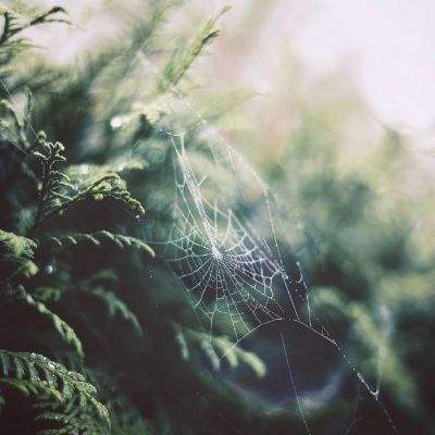 开云电竞下载手机版