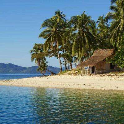 加拿大pc软件平台app下载