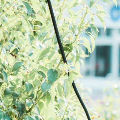 三亿体育app平台